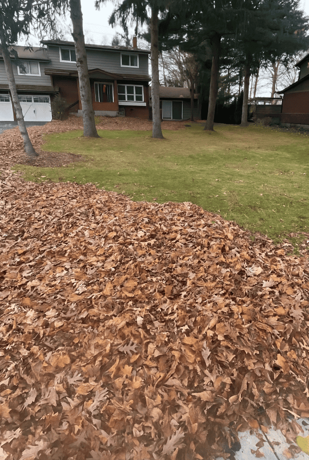 Screenshot 2025-06-23 at 12.28.32 AM